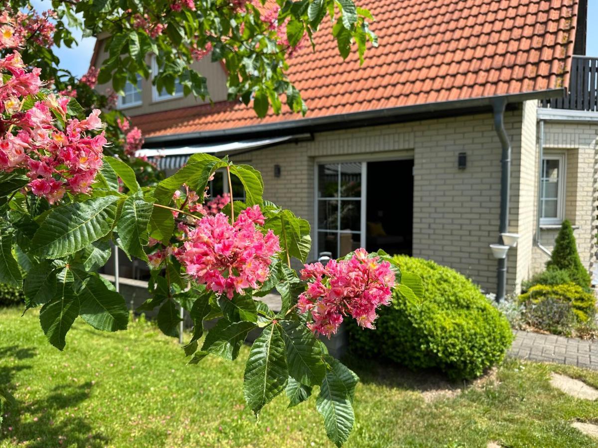 Апартаменты Familienurlaub Im Gruenen Вернигероде Экстерьер фото